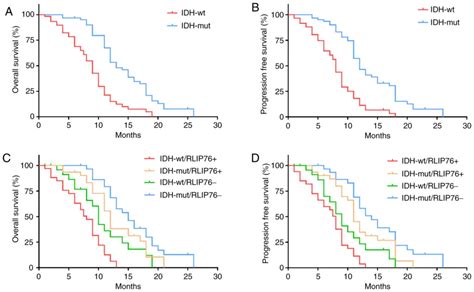 glioblastoma idh wild type prognosis